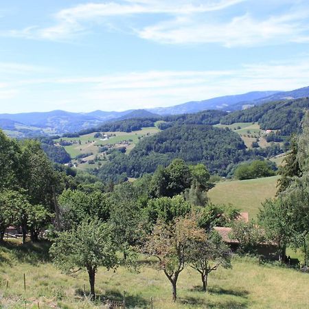 Bed and Breakfast Le Nid Du Kaloui Fréland Esterno foto