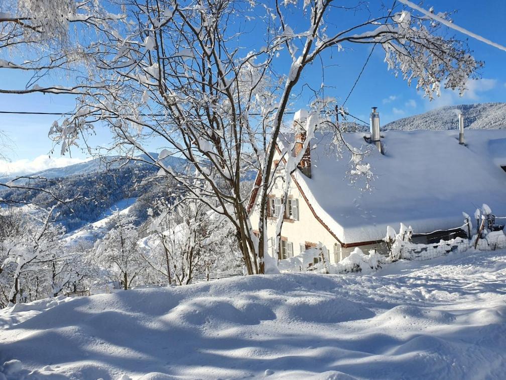 Bed and Breakfast Le Nid Du Kaloui Fréland Esterno foto