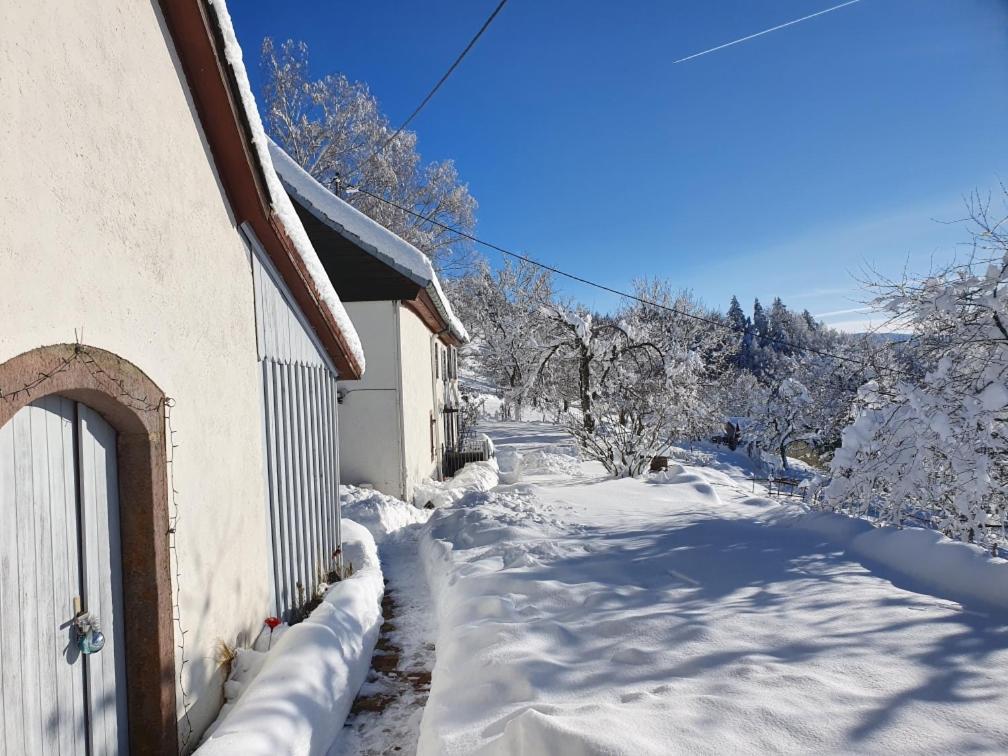 Bed and Breakfast Le Nid Du Kaloui Fréland Esterno foto
