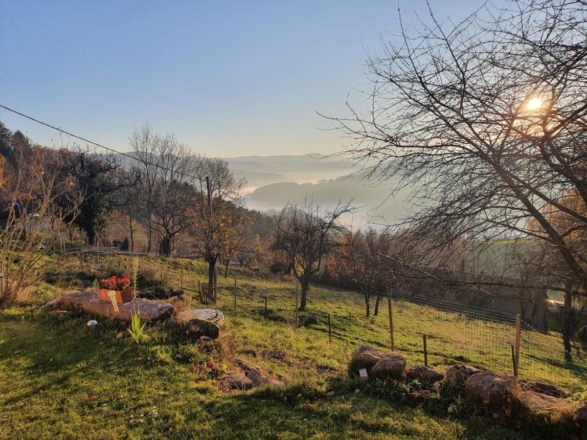 Bed and Breakfast Le Nid Du Kaloui Fréland Esterno foto