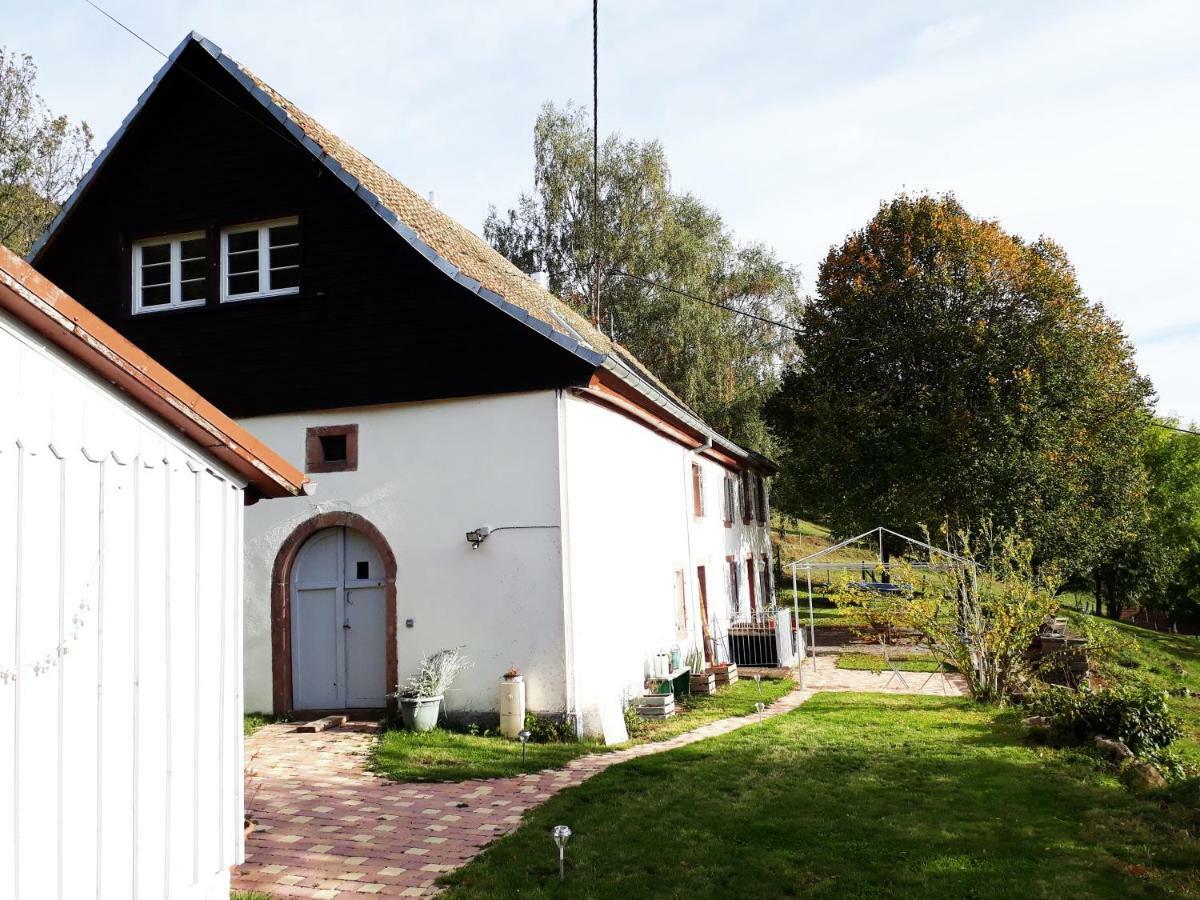 Bed and Breakfast Le Nid Du Kaloui Fréland Esterno foto