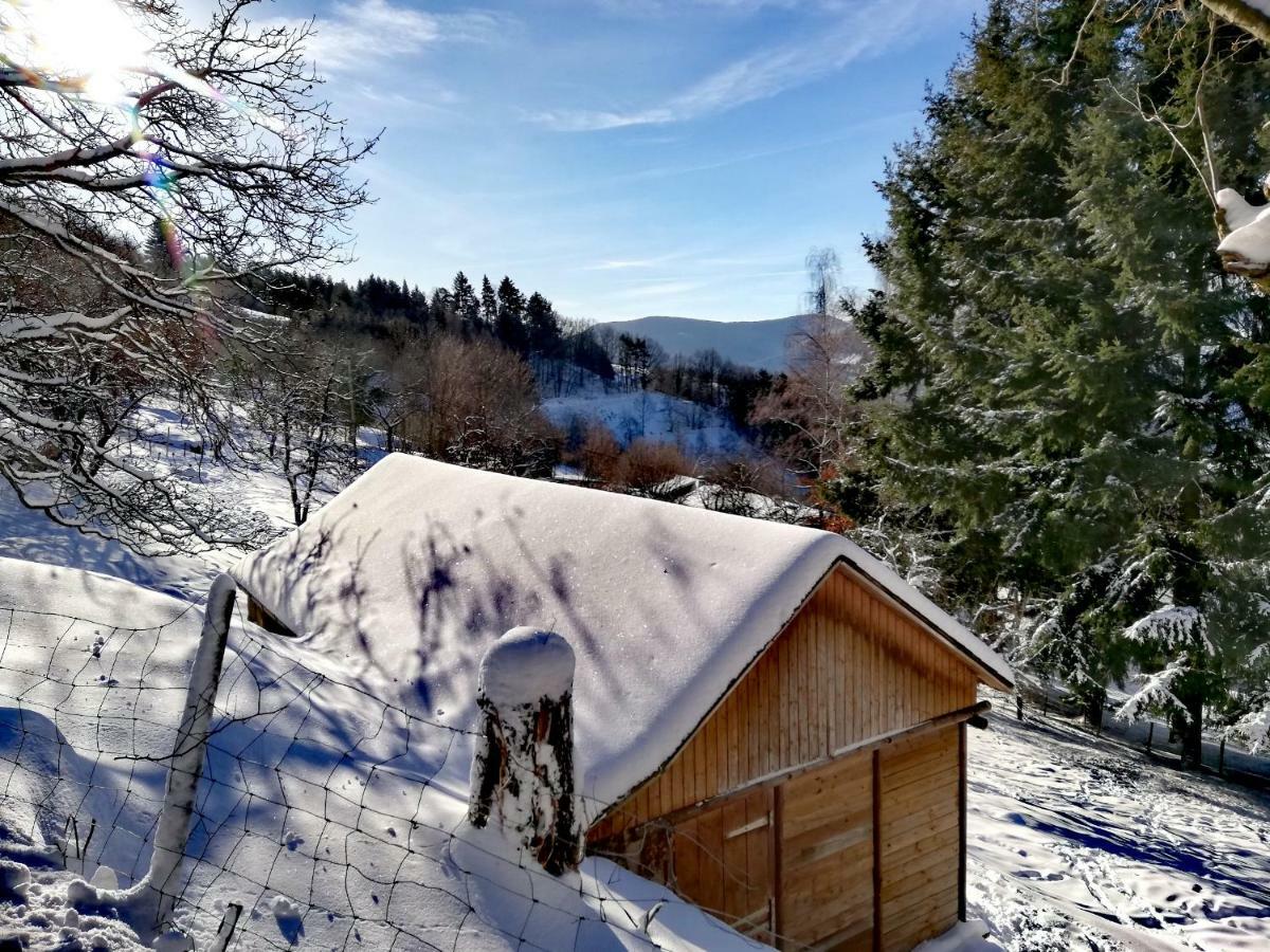 Bed and Breakfast Le Nid Du Kaloui Fréland Esterno foto