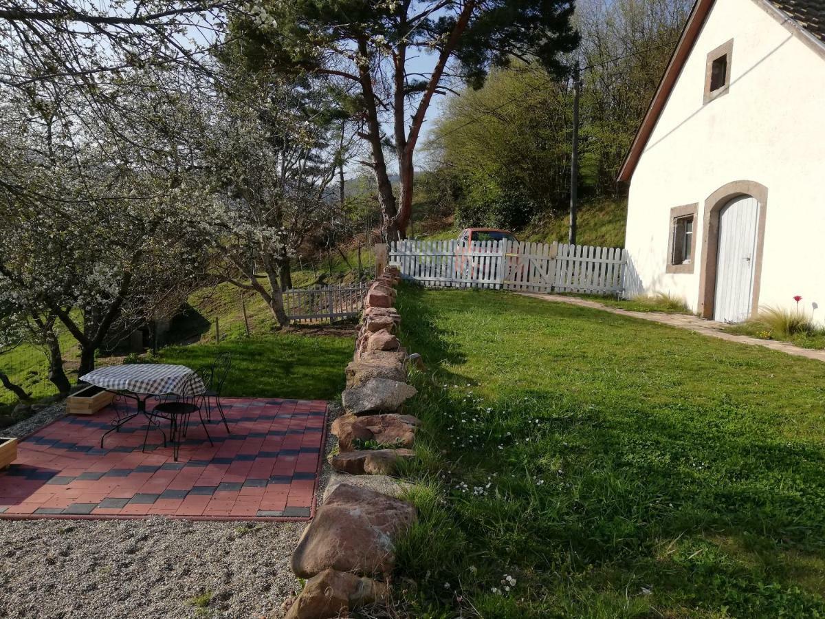 Bed and Breakfast Le Nid Du Kaloui Fréland Esterno foto