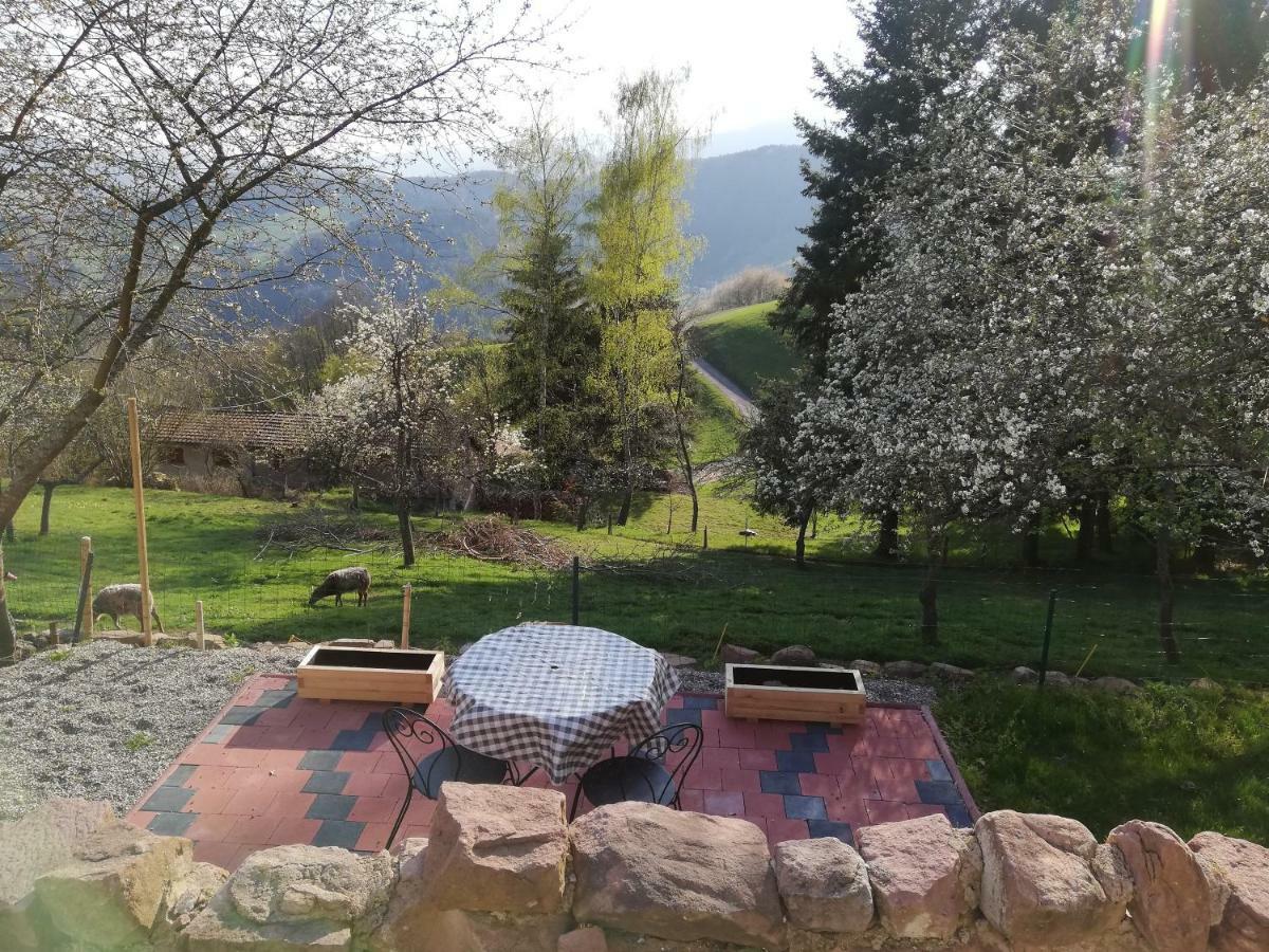 Bed and Breakfast Le Nid Du Kaloui Fréland Esterno foto