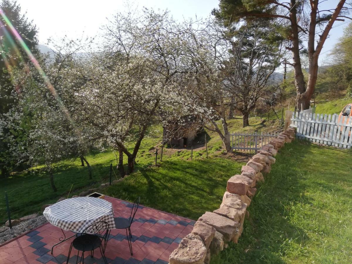 Bed and Breakfast Le Nid Du Kaloui Fréland Esterno foto